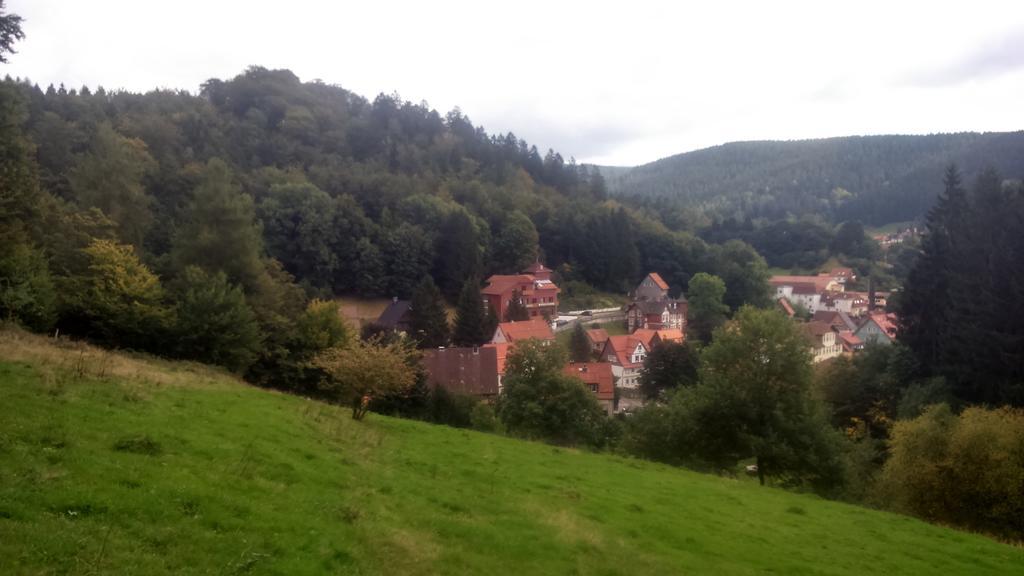 Hotel-Pension Waldhaus Bad Grund Exterior photo