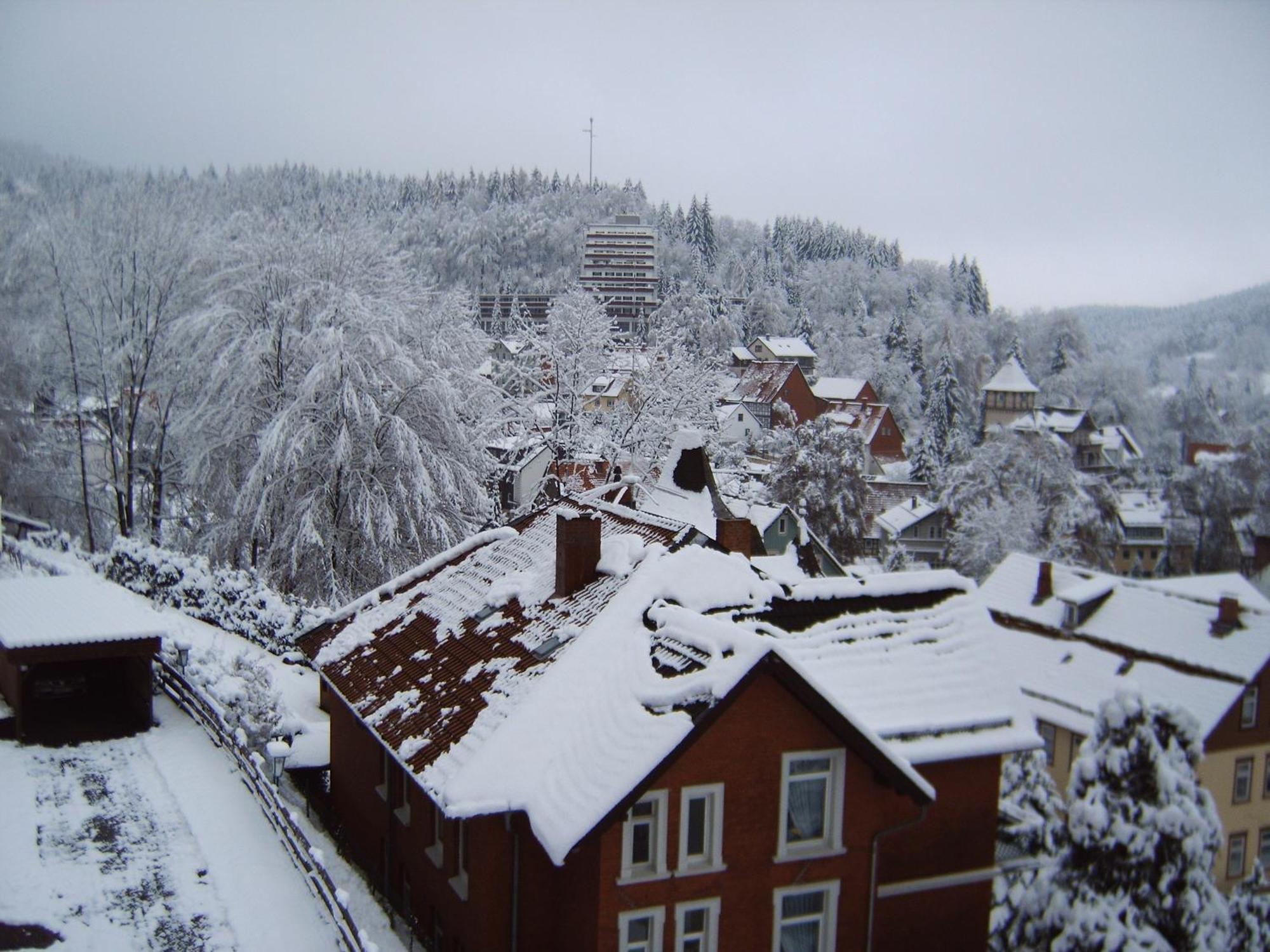 Hotel-Pension Waldhaus Bad Grund Exterior photo