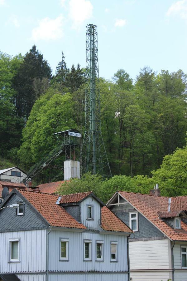 Hotel-Pension Waldhaus Bad Grund Exterior photo